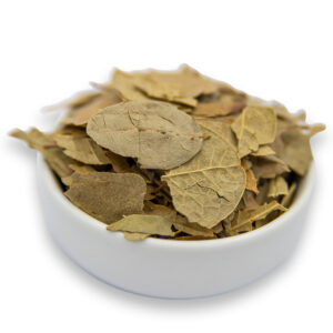 A vibrant green bowl filled with dried boldo leaves, showcasing their rich color and unique texture.