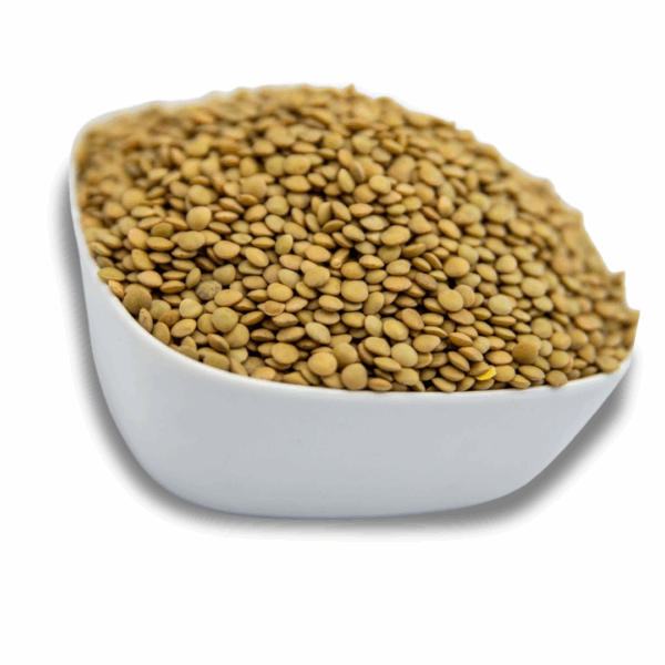 A white bowl filled with dry lentils, showcasing their natural color and texture.