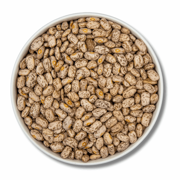 A close-up of dry pinto beans in a white bowl, showcasing their natural speckled texture.