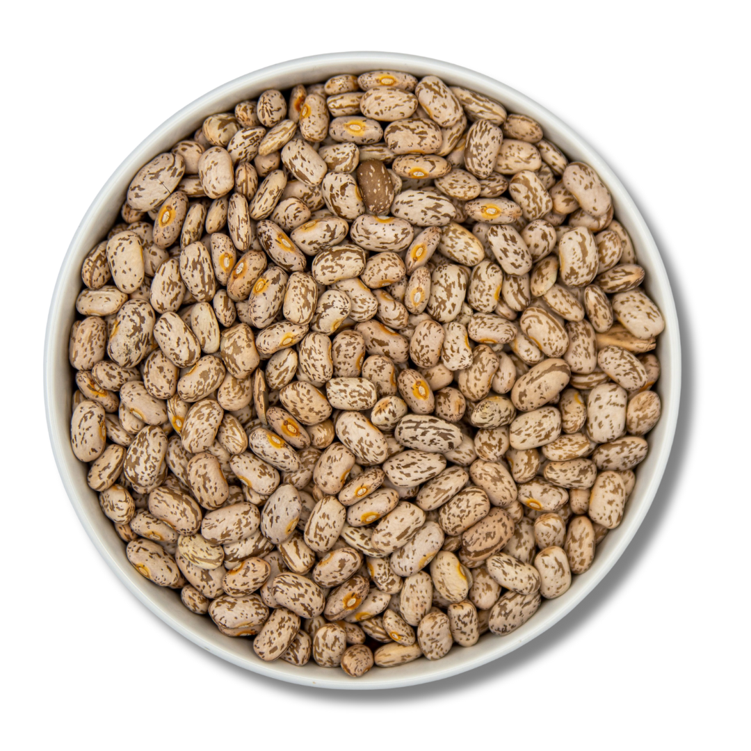 A close-up of dry pinto beans in a white bowl, showcasing their natural speckled texture.